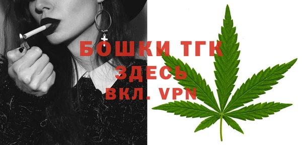 спиды Лиски