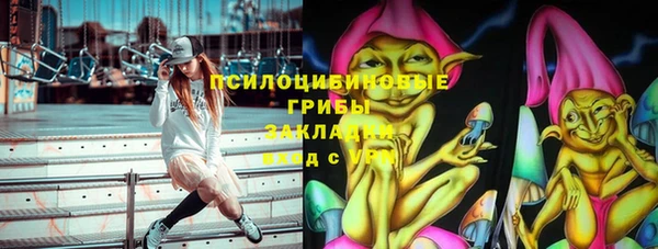 молекула духа Лагань