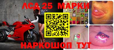 индика Донской