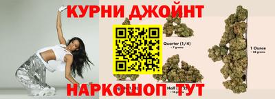 индика Донской
