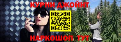 гидропоника Дубна
