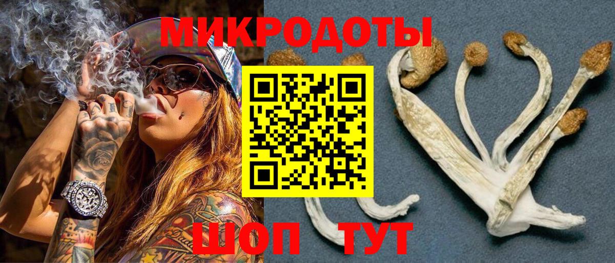 Ливны  Псилоцибиновые грибы Psilocybine cubensis  Вход с VPN 