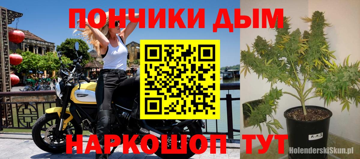 Конопля ГИДРОПОН  Канабис SATIVA & INDICA  Вход с VPN  Конопля марихуана  Ливны 
